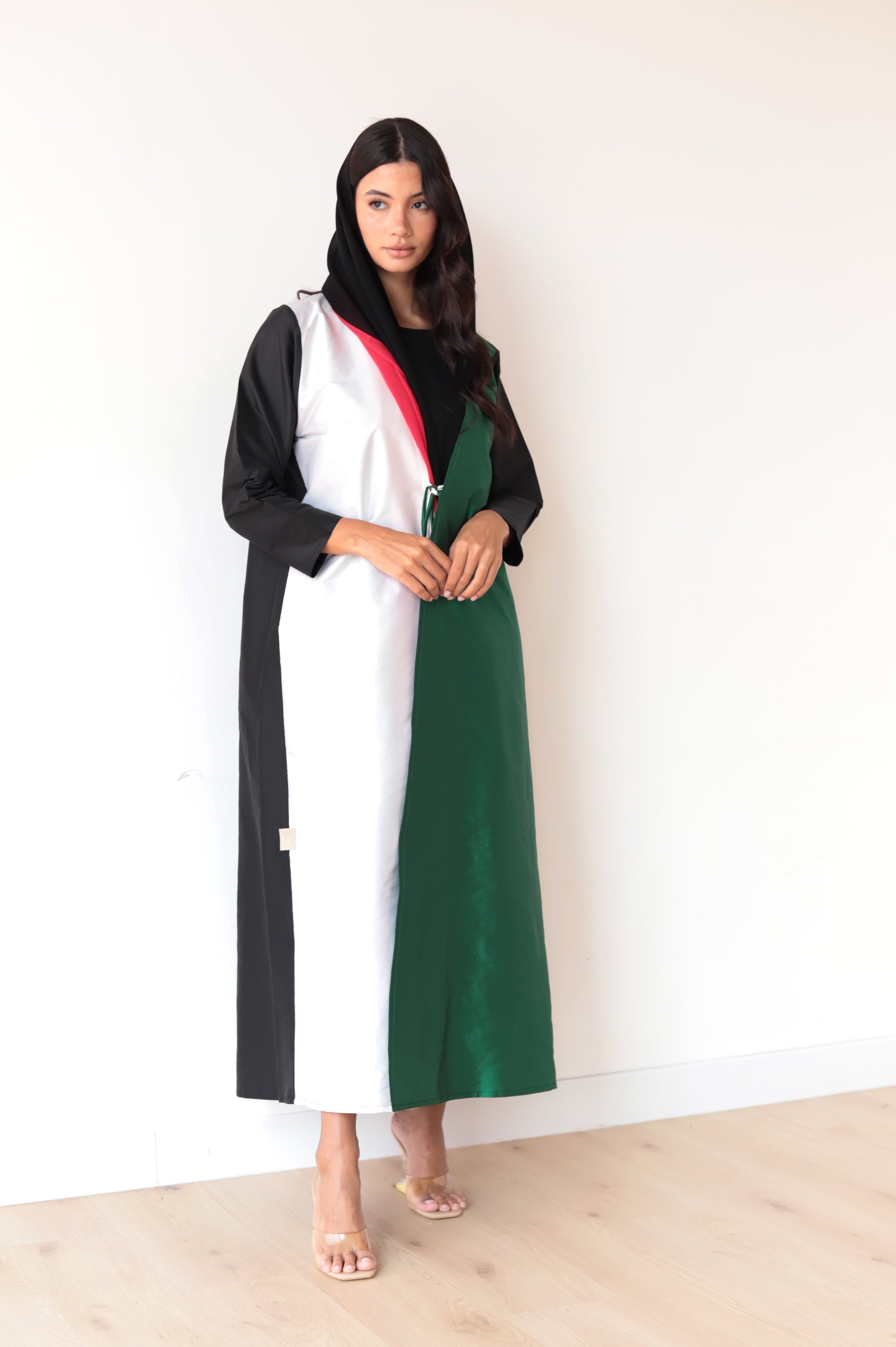 BASIC UAE NATIONAL DAY 6