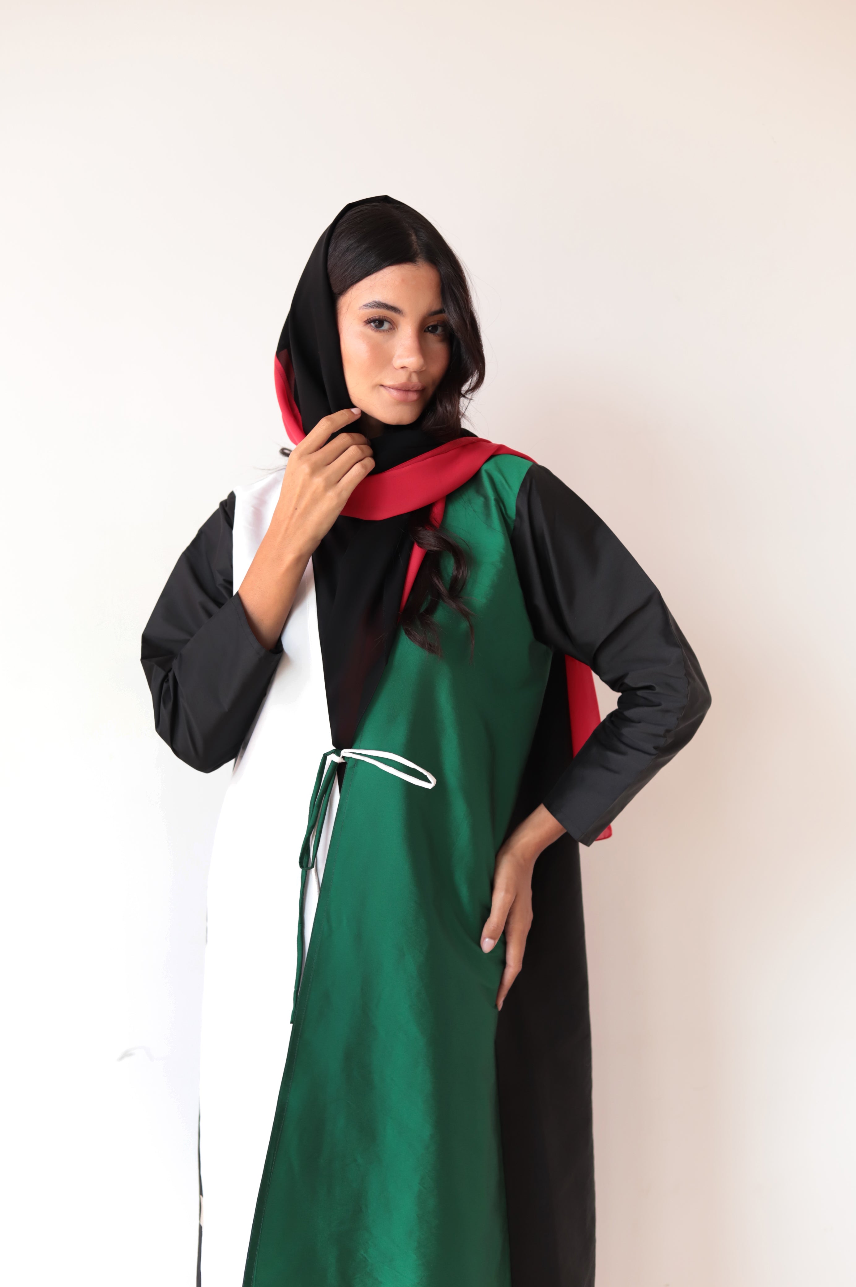 BASIC UAE NATIONAL DAY 6