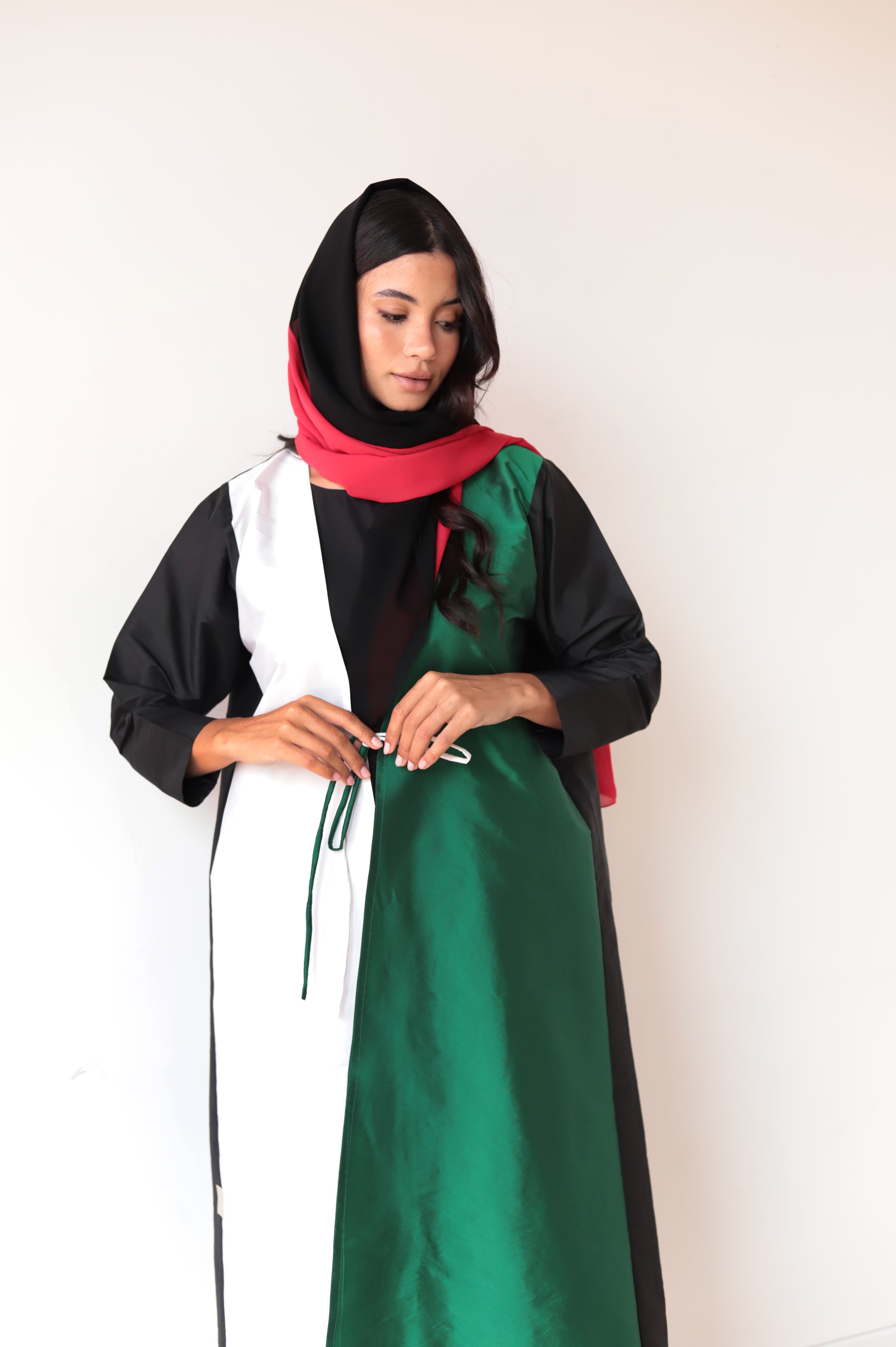 اليوم الوطني لدولة الإمارات العربية المتحدة 6